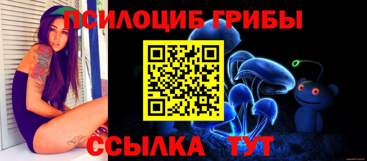 Псилоцибиновые грибы мицелий  Псилоцибиновые грибы Cubensis  где купить наркоту  Вход с VPN  Долгопрудный 
